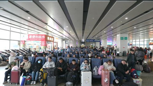 春運進行時 長沙汽車西站客流量攀升，預計2月7日迎峰值